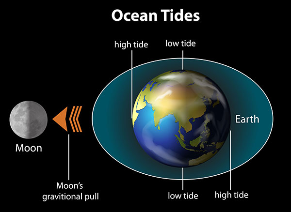 An illustration titled Ocean Tides shows the moon on the left lined up with the earth on the right. Tides are represented in an ellipsoidal bubble around the earth. High tides are labeled on the left and right sides of the earth. Low tides are labeled at the top and bottom of the earth.  An arrow representing the moon’s gravitational pull points left from the earth toward the moon.