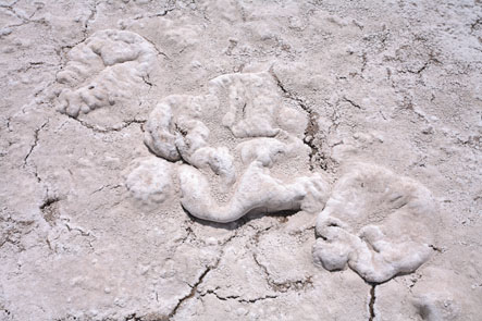 image of cracked ground of a dried salt desert